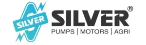 logo-silver-pumps